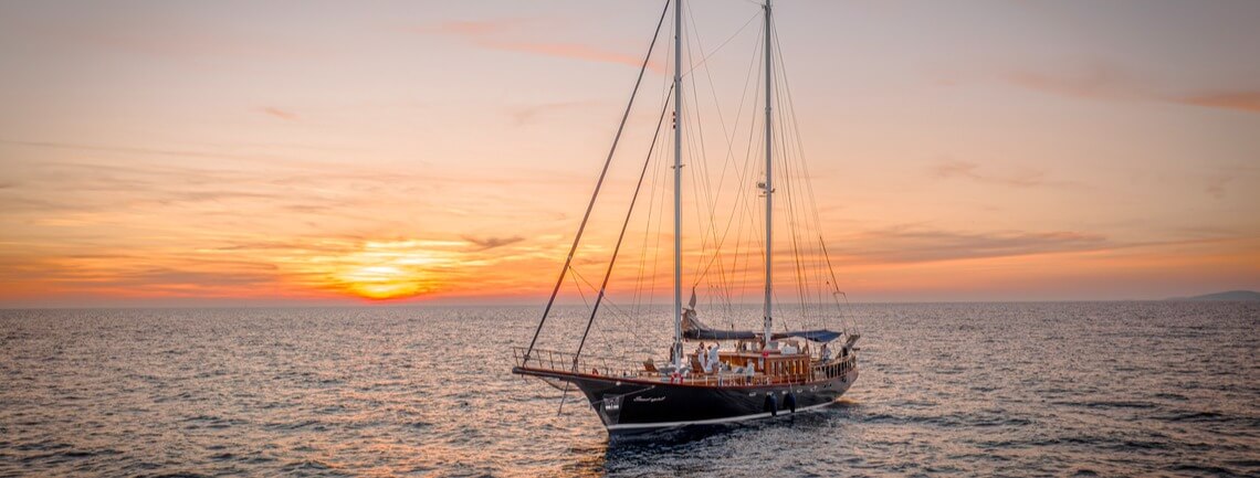 Smart Spirit I Custom 2