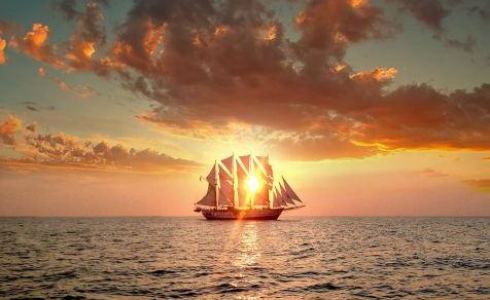 Royal Albatross Custom 1