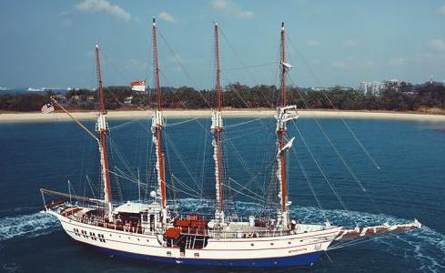 Royal Albatross Custom 2