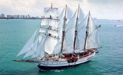 Royal Albatross Custom 3