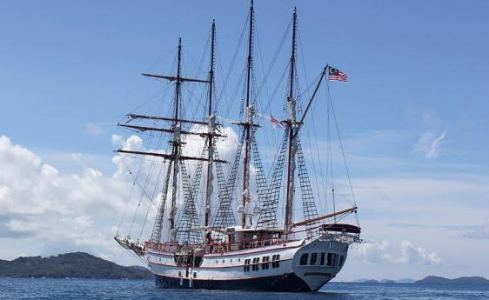 Royal Albatross Custom 4