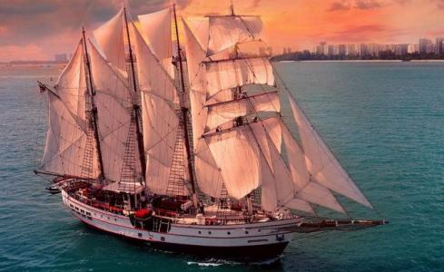 Royal Albatross Custom 5