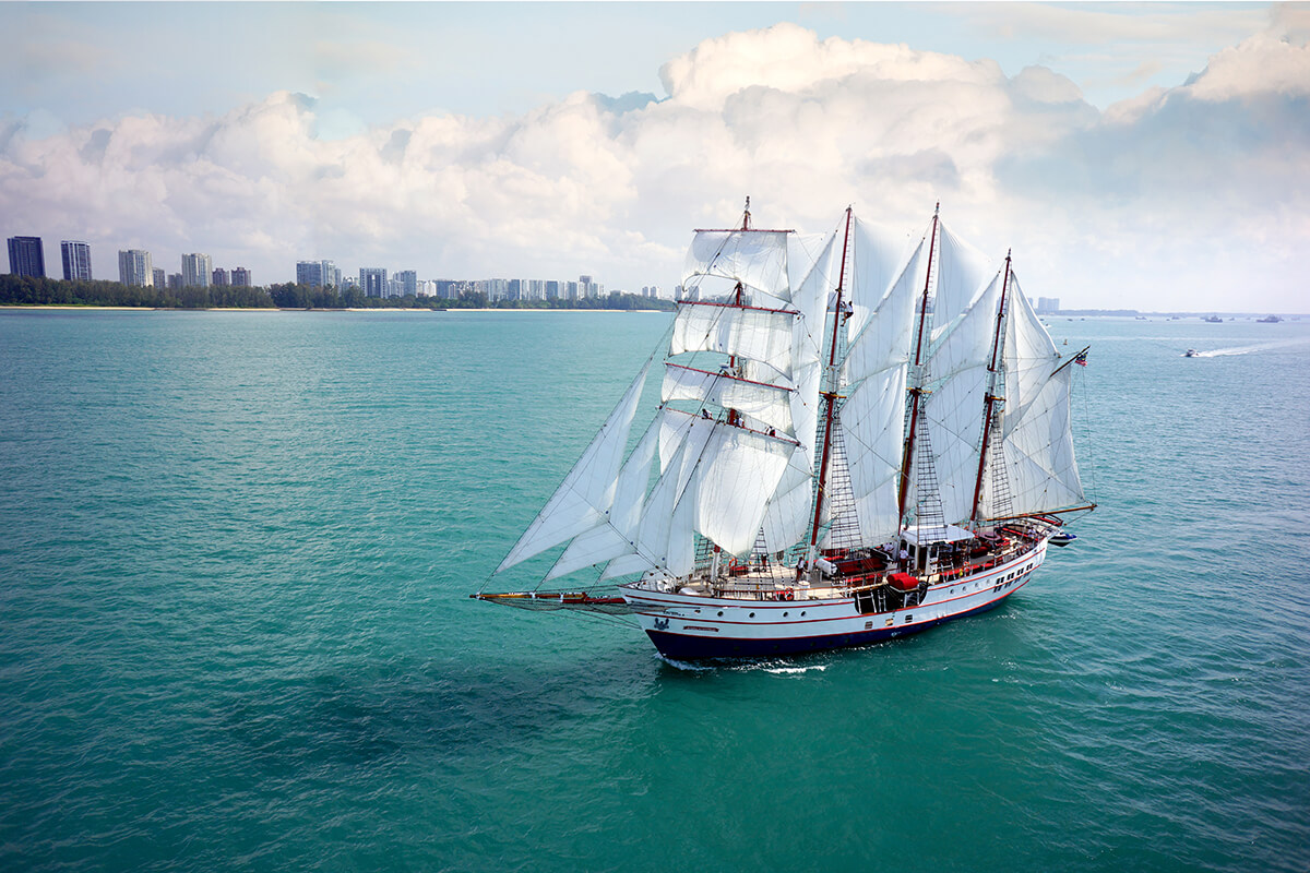 Royal Albatross Custom 3