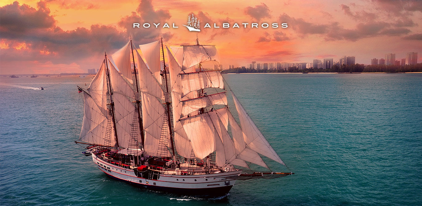 Royal Albatross Custom 5