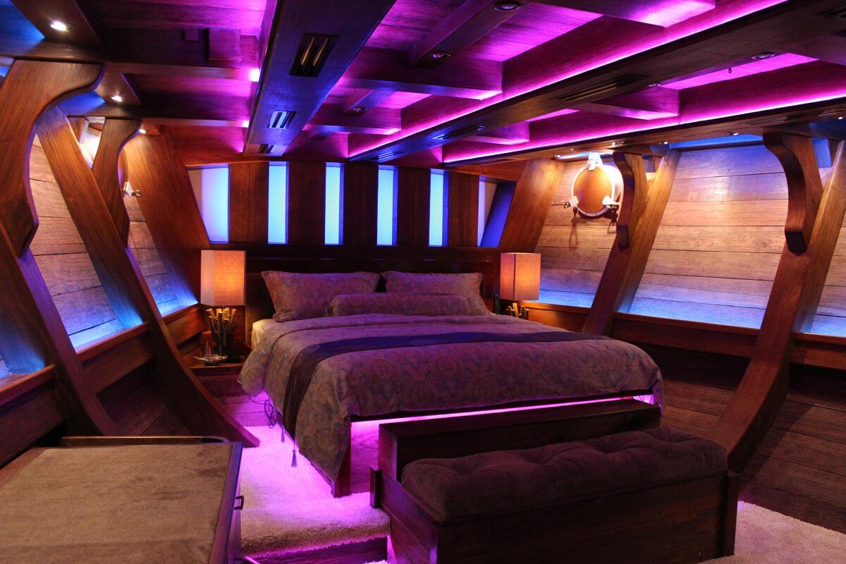 Royal Albatross Custom 10