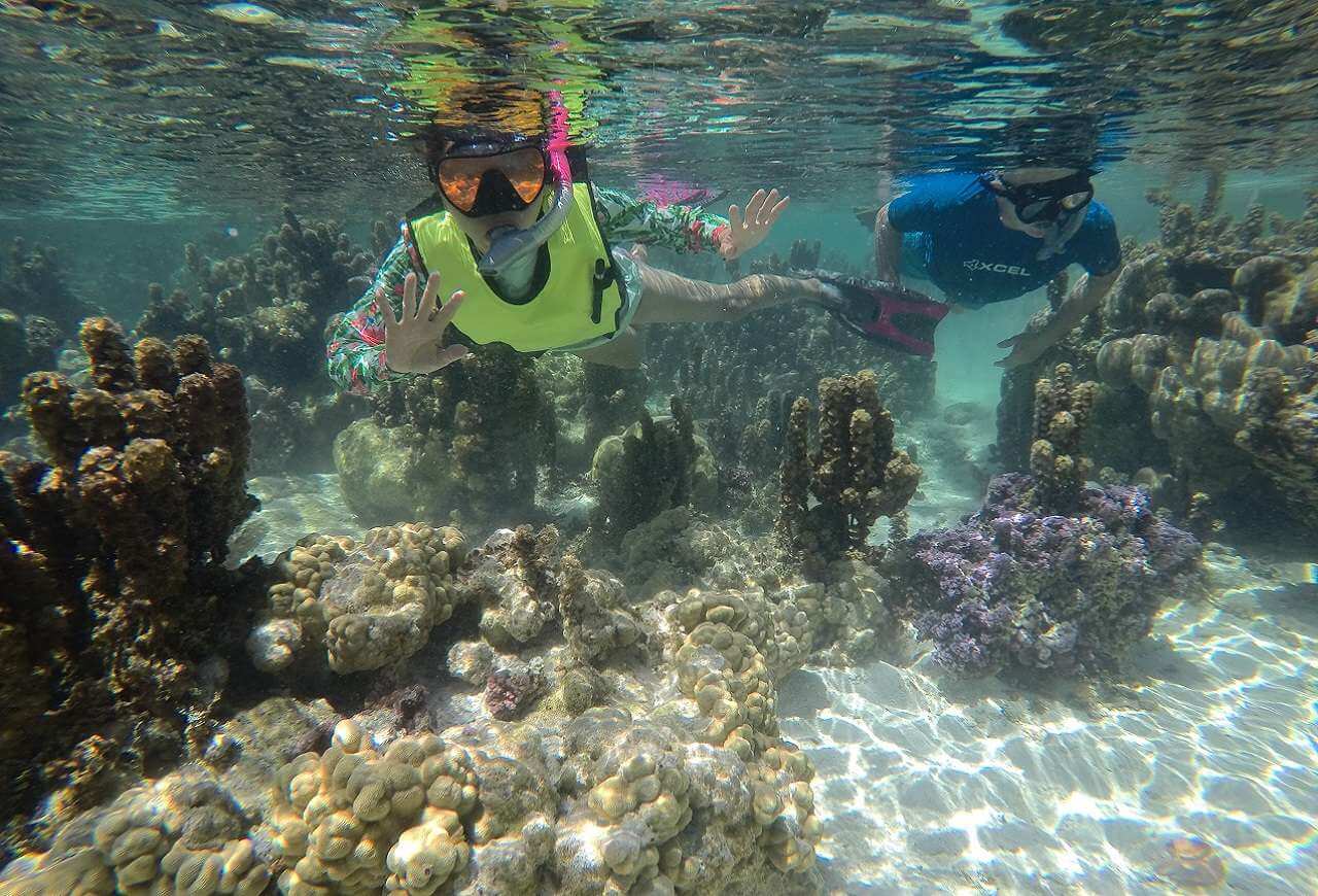 ORION Sunreef Yachts 12