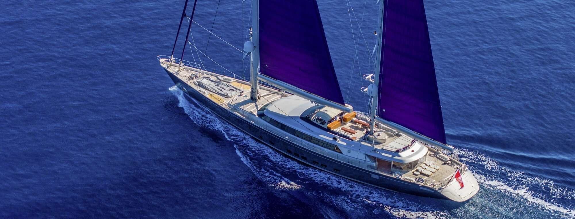 2019_perininaviketch50m1750328638.jpg