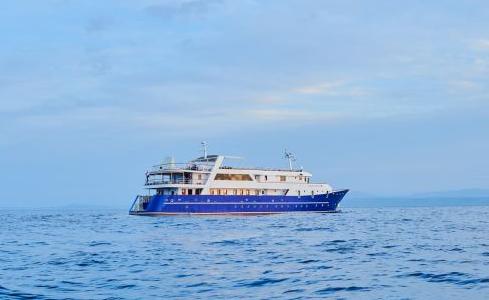 LUPUS MARE Brodosplit d.d 10