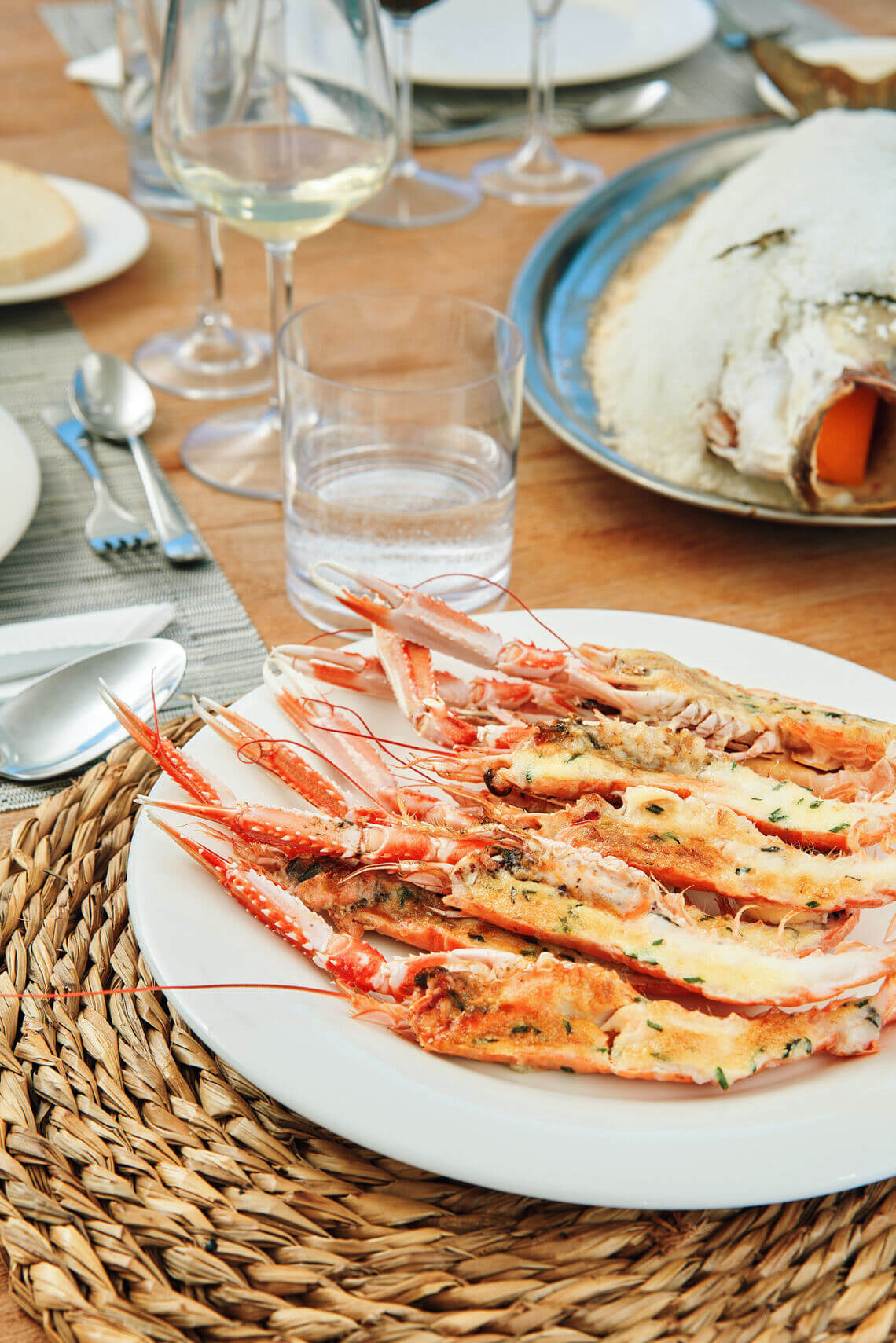 FLOW Lagoon Catamaran 21