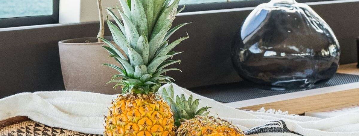 White Caps Lagoon Catamaran 7