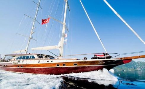 DAIMA																Custom 1