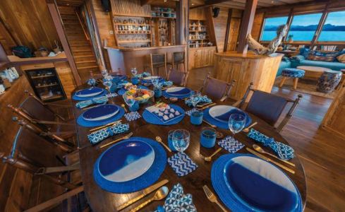 Ocean Pure 1 Custom 24