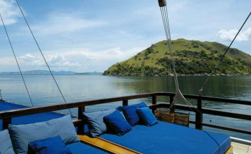 Ocean Pure 1 Custom 8