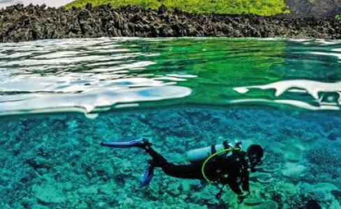 Ocean Pure 1 Custom 10