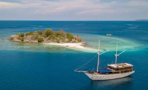 Ocean Pure 1 Custom 4