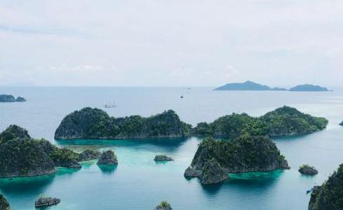 Ocean Pure 1 Custom 14