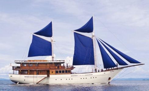 Ocean Pure 1 Custom 1