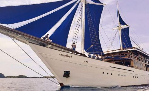 Ocean Pure 1 Custom 2