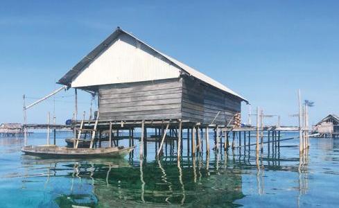 Ocean Pure 1 Custom 15