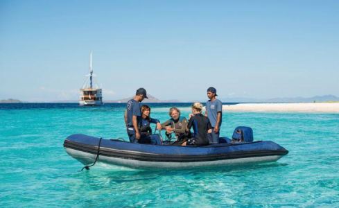 Ocean Pure 1 Custom 16