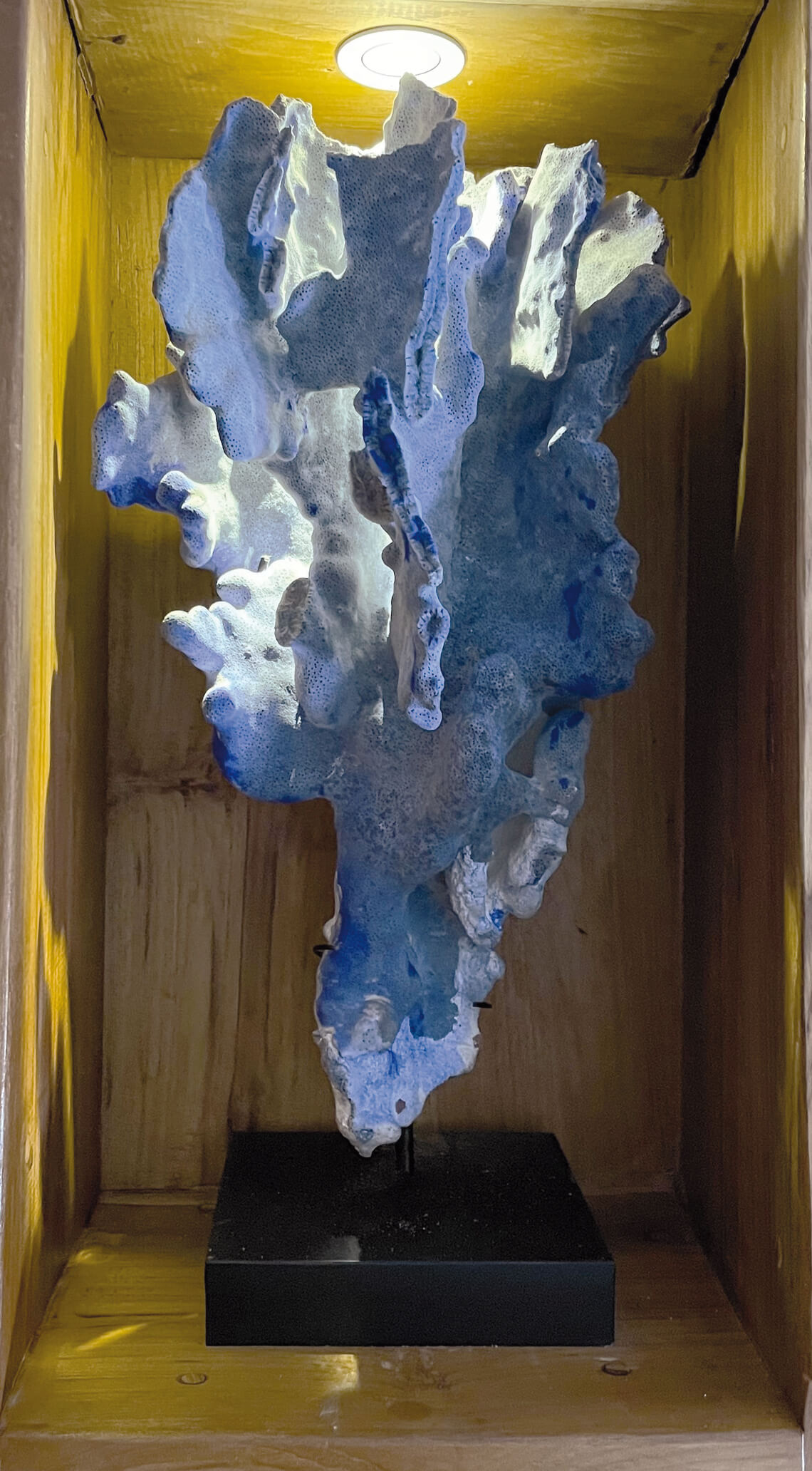 Ocean Pure 1 Custom 23