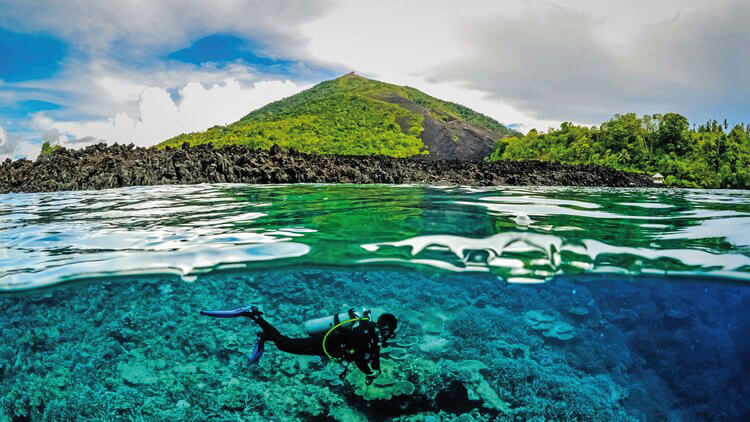 Ocean Pure 1 Custom 10