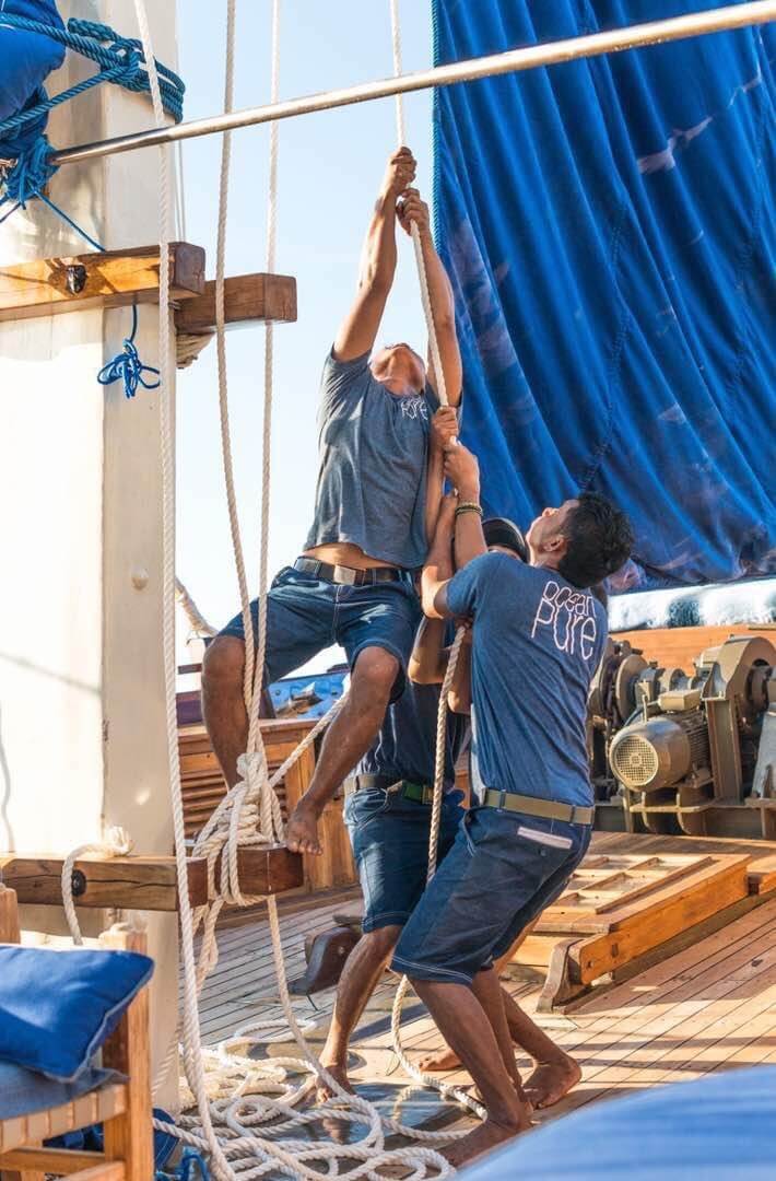 Ocean Pure 1 Custom 13