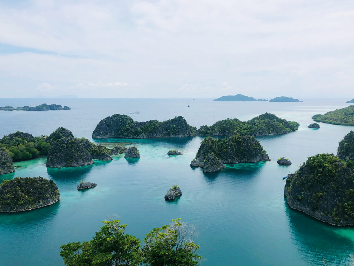 Ocean Pure 1 Custom 14