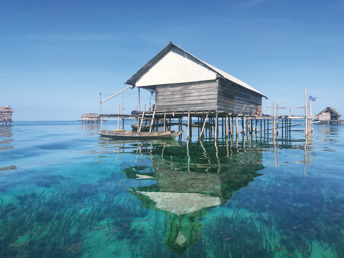 Ocean Pure 1 Custom 15