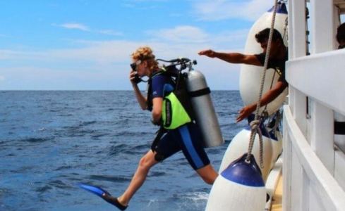 Honors Legacy Custom 11