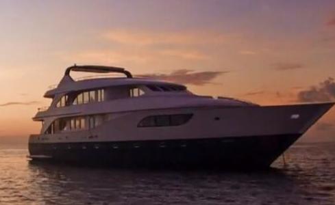 Honors Legacy Custom 12