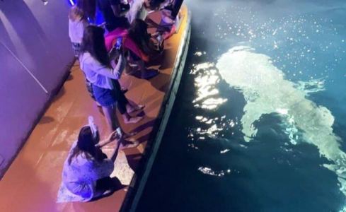 Honors Legacy Custom 13