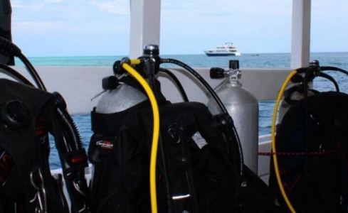 Honors Legacy Custom 14