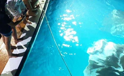 Honors Legacy Custom 18