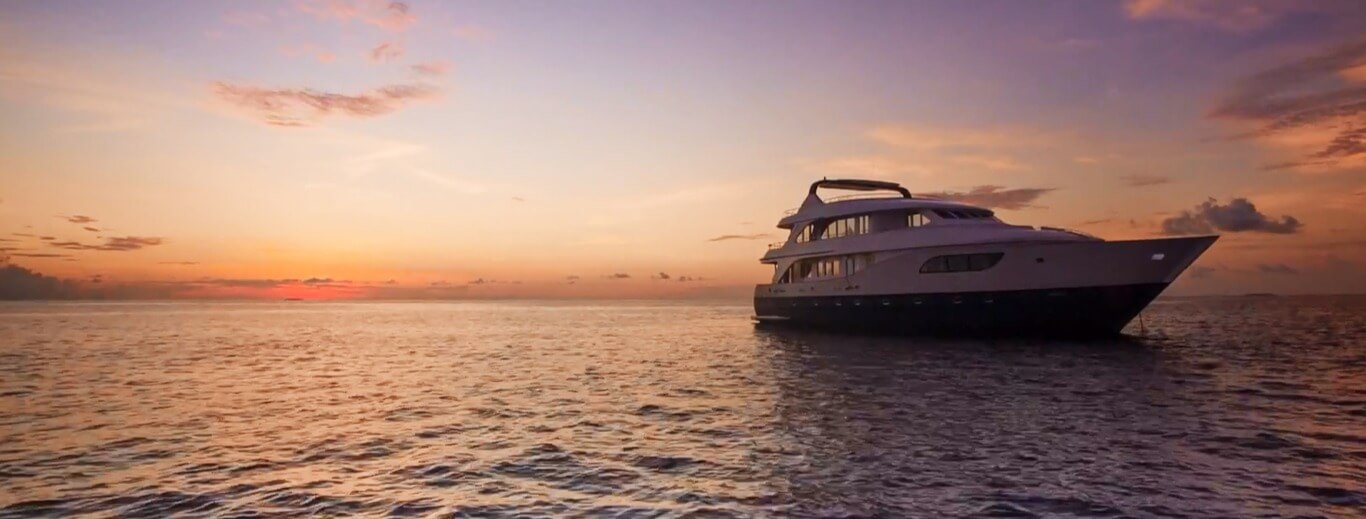 Honors Legacy Custom 12