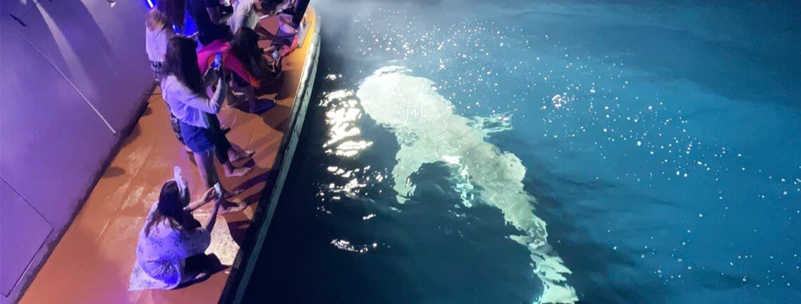 Honors Legacy Custom 13