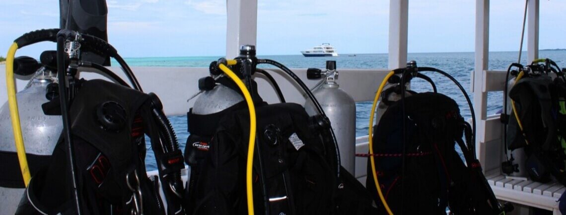 Honors Legacy Custom 14