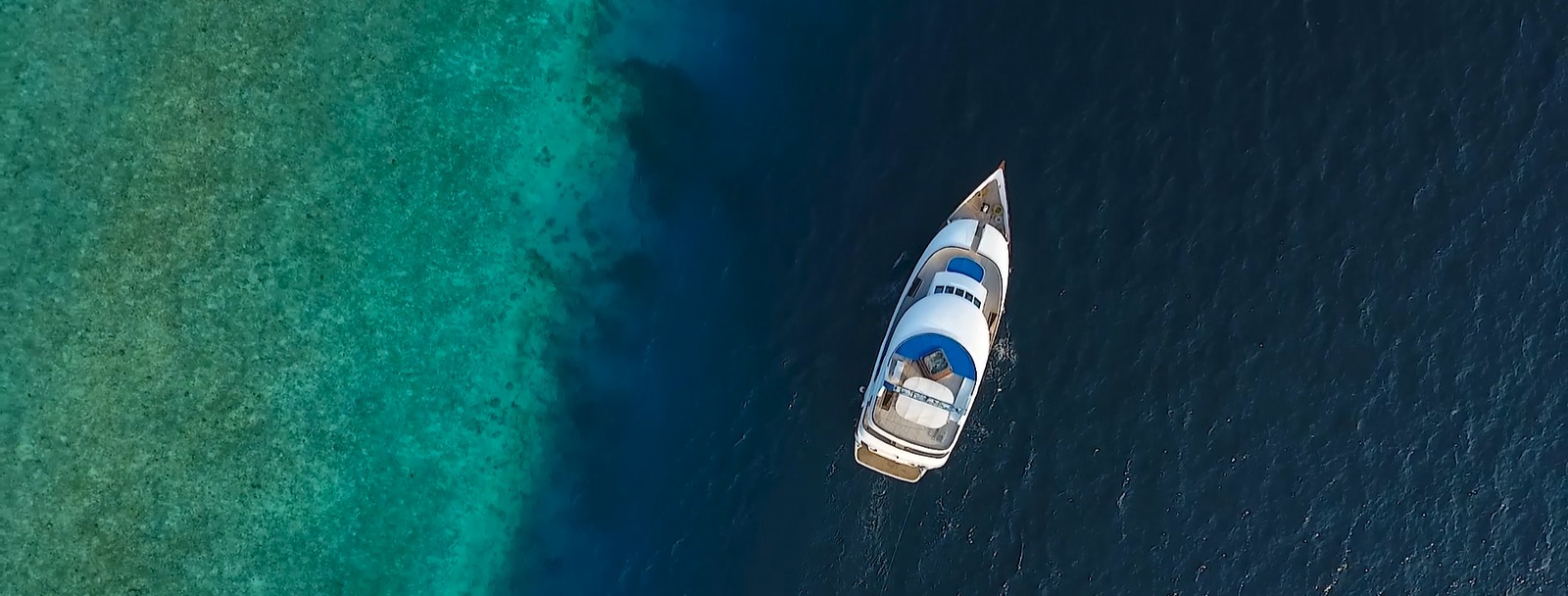 Honors Legacy Custom 2