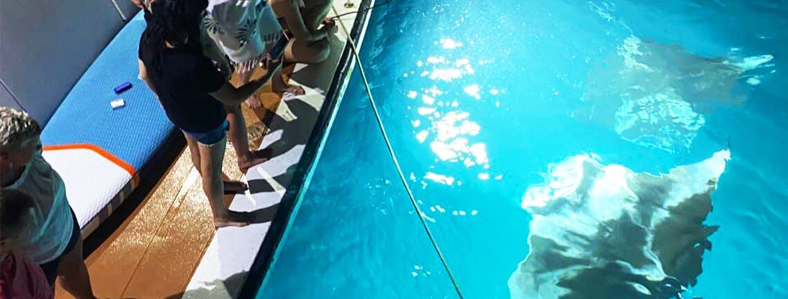 Honors Legacy Custom 18