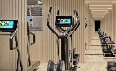 BLACK SWAN Custom 26