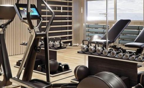 BLACK SWAN Custom 27