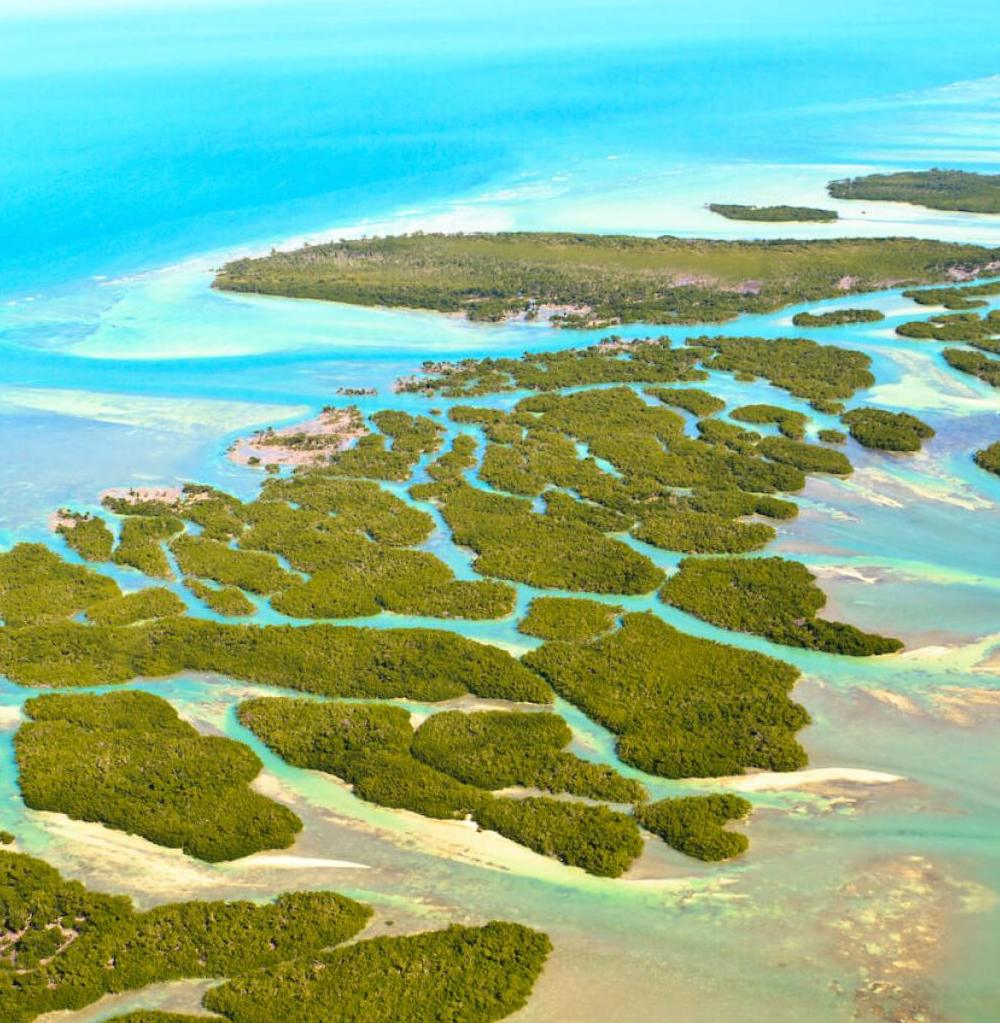 Superyacht charter Flórida